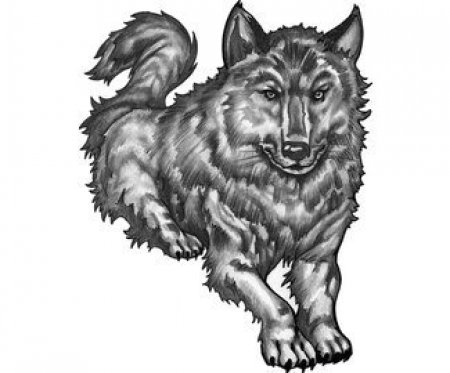 Эскизы черно-белые волка. Часть 1