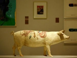 Бельгийский художник сделал татуировки свиньям
