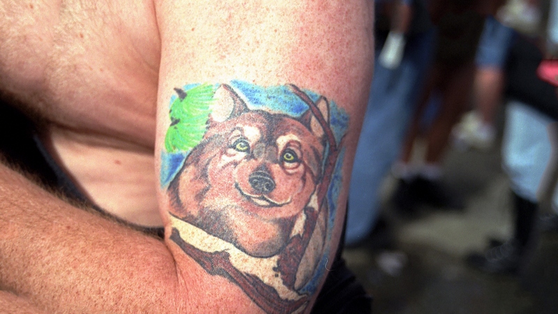 татуировка волка на руке значение